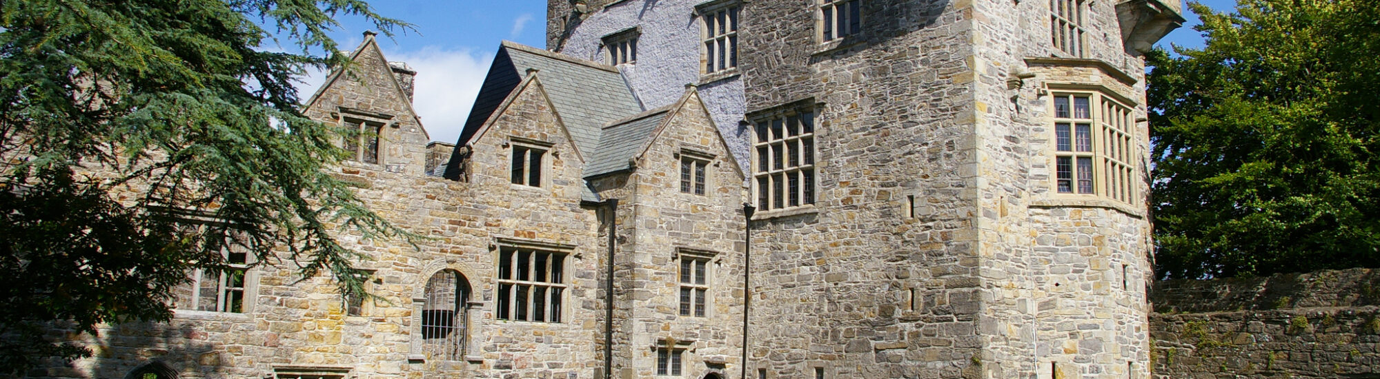 Il Castello di Donegal