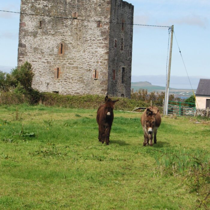 Le Gallarus Castle - jemartin03 - cc