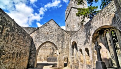 Antico tasso al centro del chiostro di Muckross Abbey