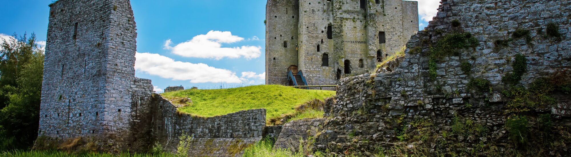 Trim castle - © Irina Schmidt