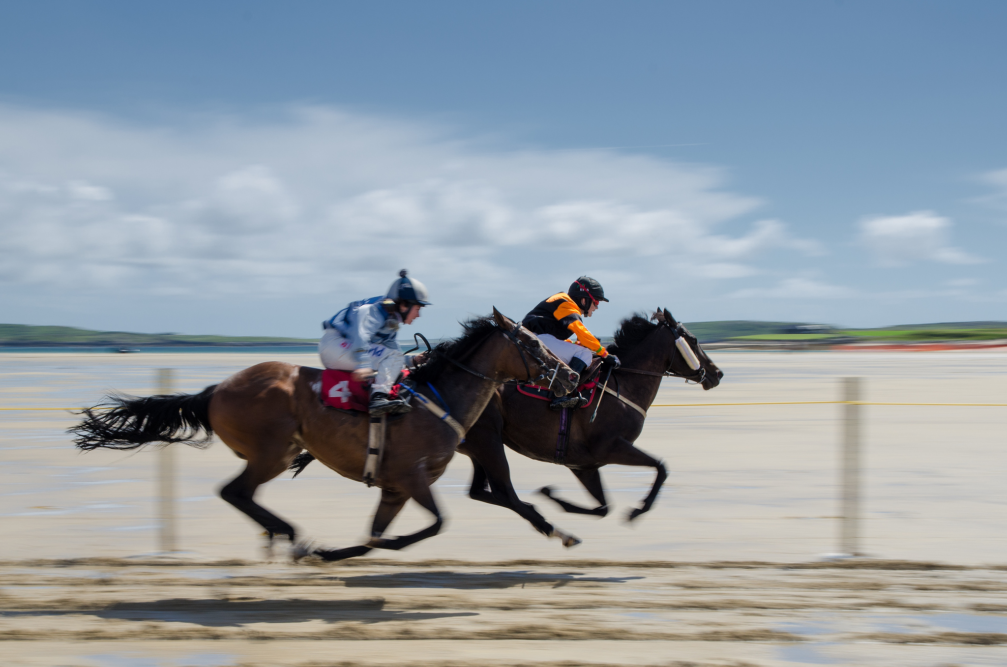 Le Dingle Races
