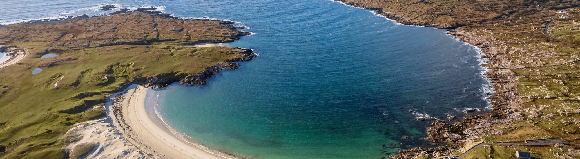 La Dogs Bay