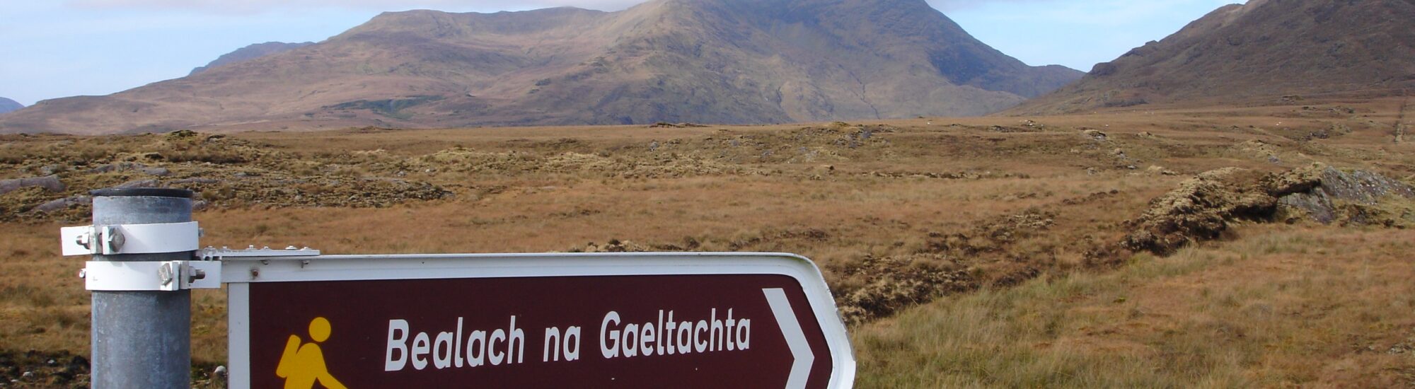 Il gaelico irlandese