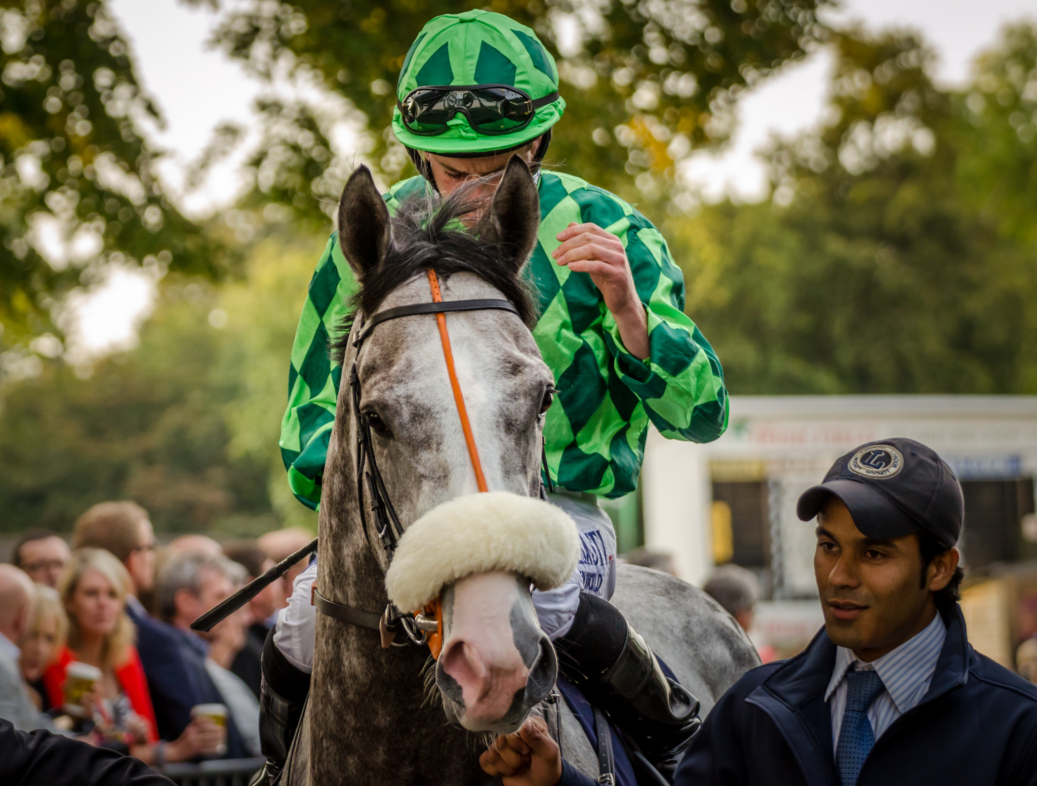 Leopardstown Christmas Festival