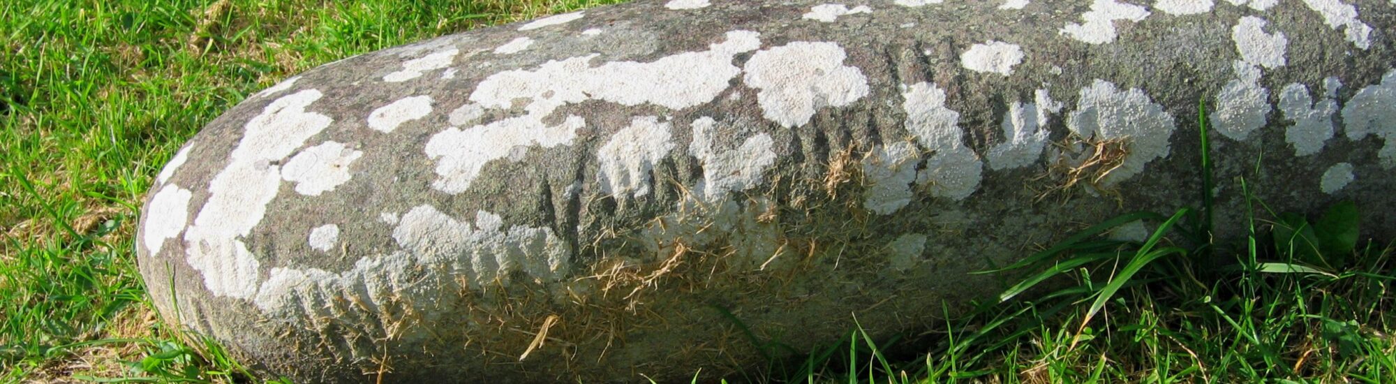 Gli Ogham