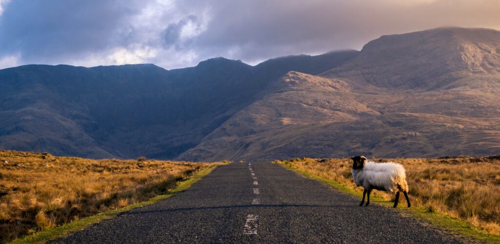 5 ragioni per scoprire l’Irlanda in autunno!