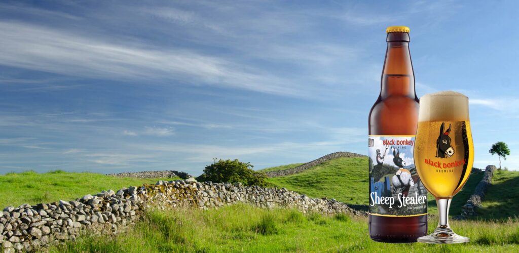 black donkey brewing ltd