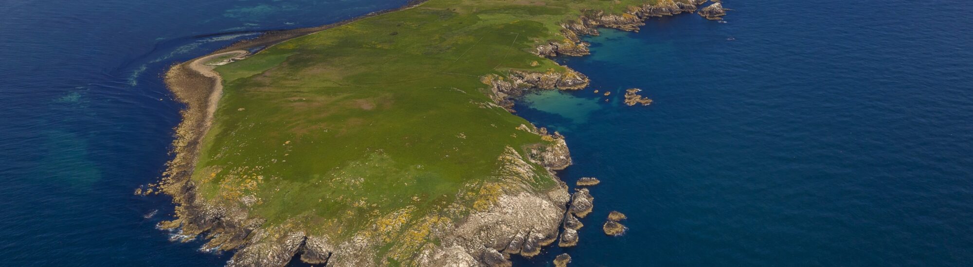 La Great Saltee Island