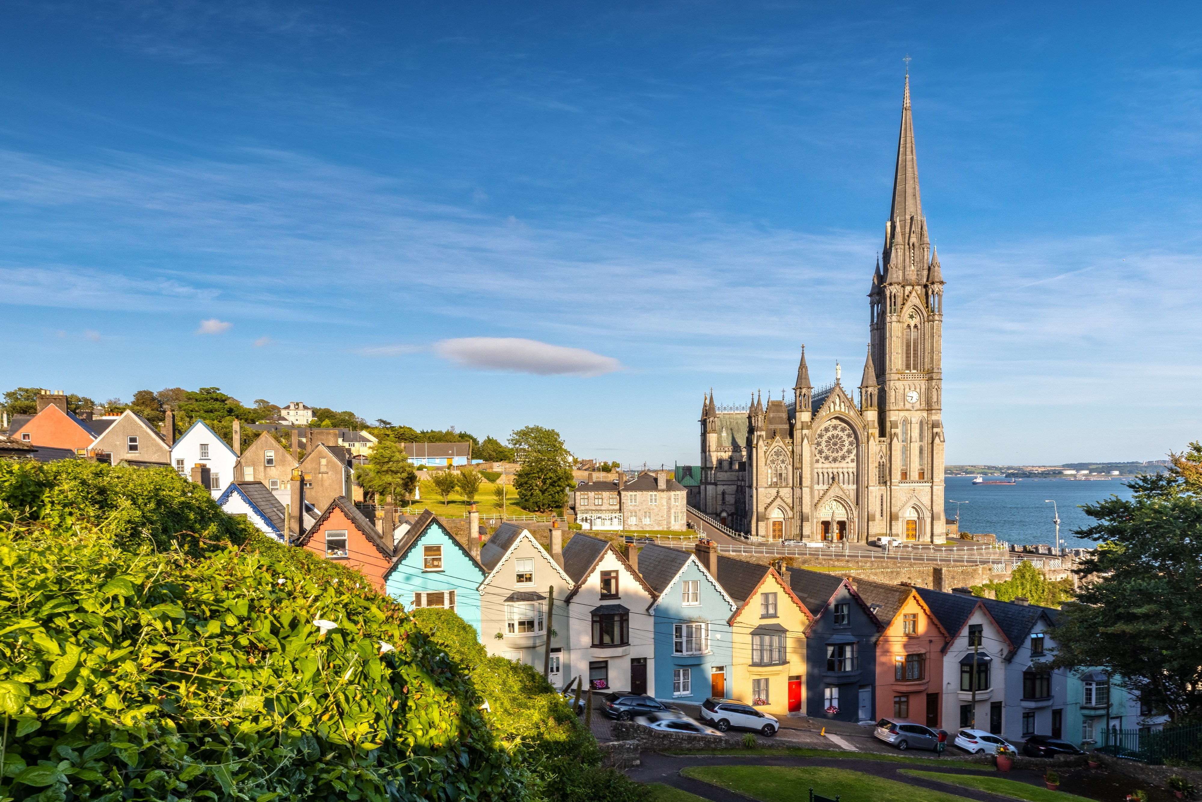 Contea di Cork