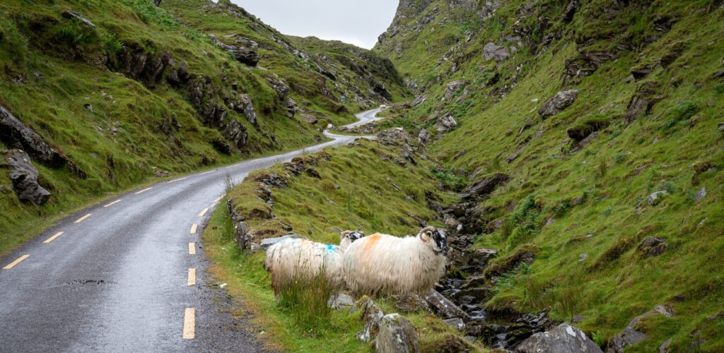 ballaghbeama gap