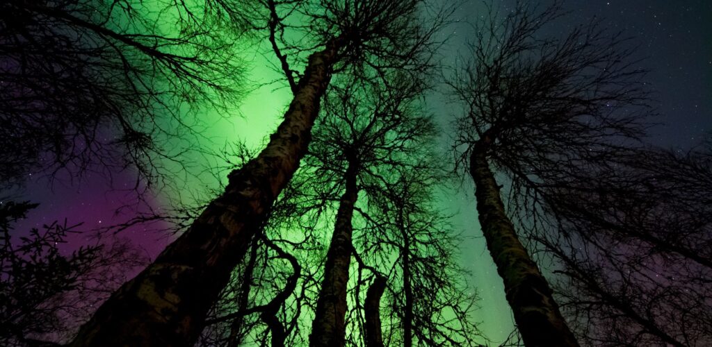 Irlanda del Nord: le aurore boreali hanno incantato ieri sera!