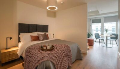 Large Luxurious Studio in Dublin 18