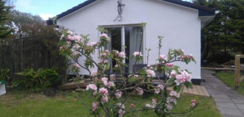 Murrevagh Mealog