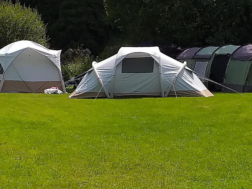 St Mullins Camping