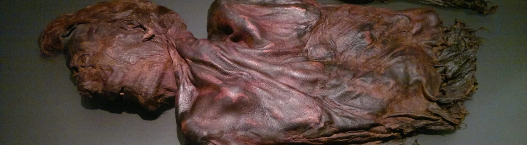 Uomini delle torbiere