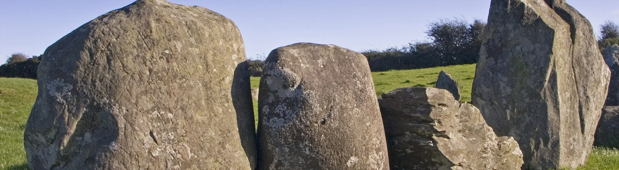 Il Mesolitico in Irlanda