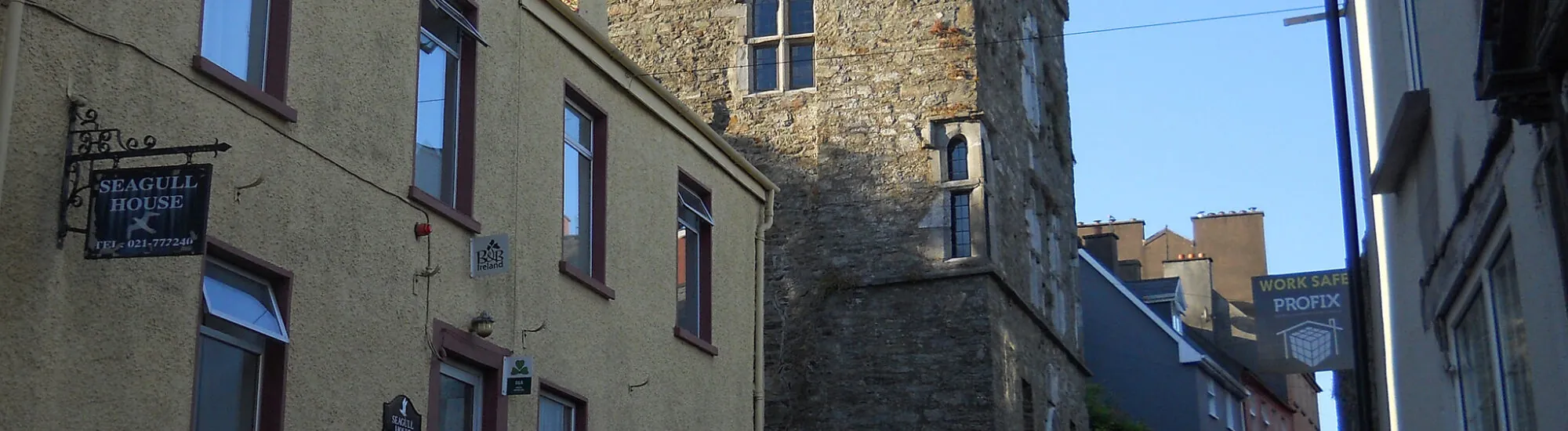 Il Desmond Castle