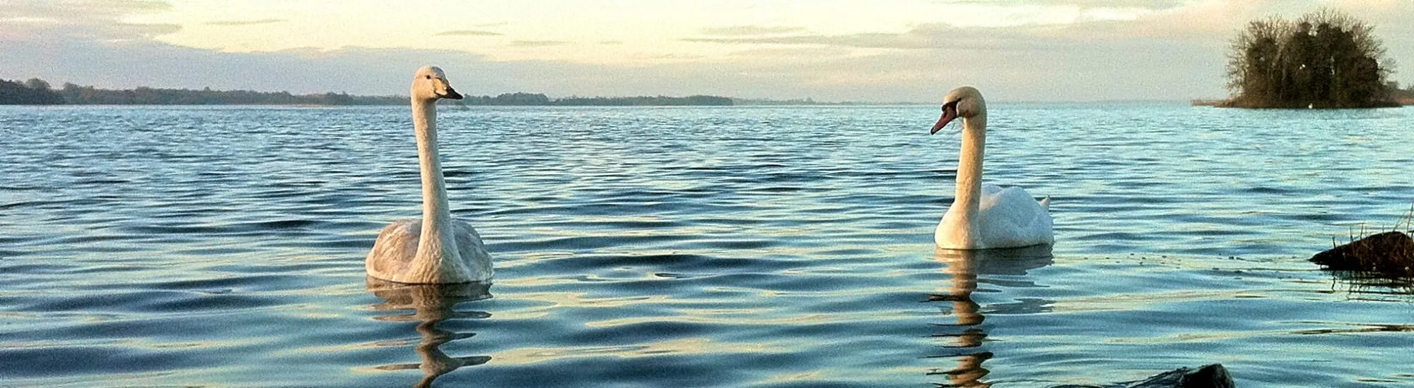 Il Lough Ennell