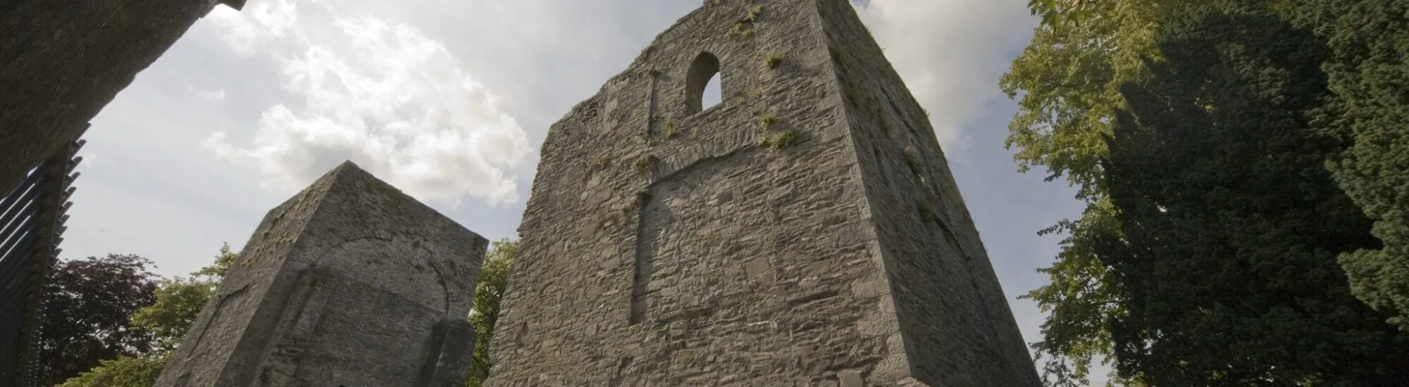 Il Castello di Maynooth