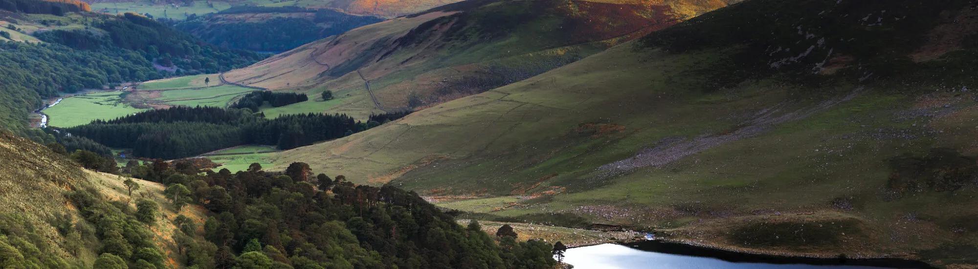 I Monti Wicklow