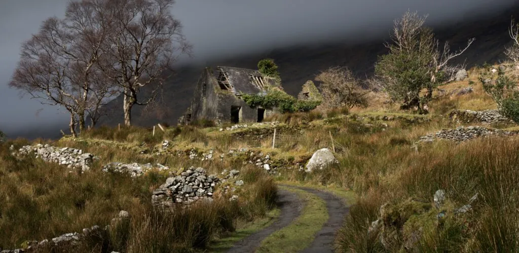 black valley