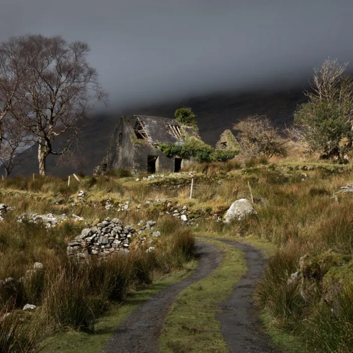 black valley