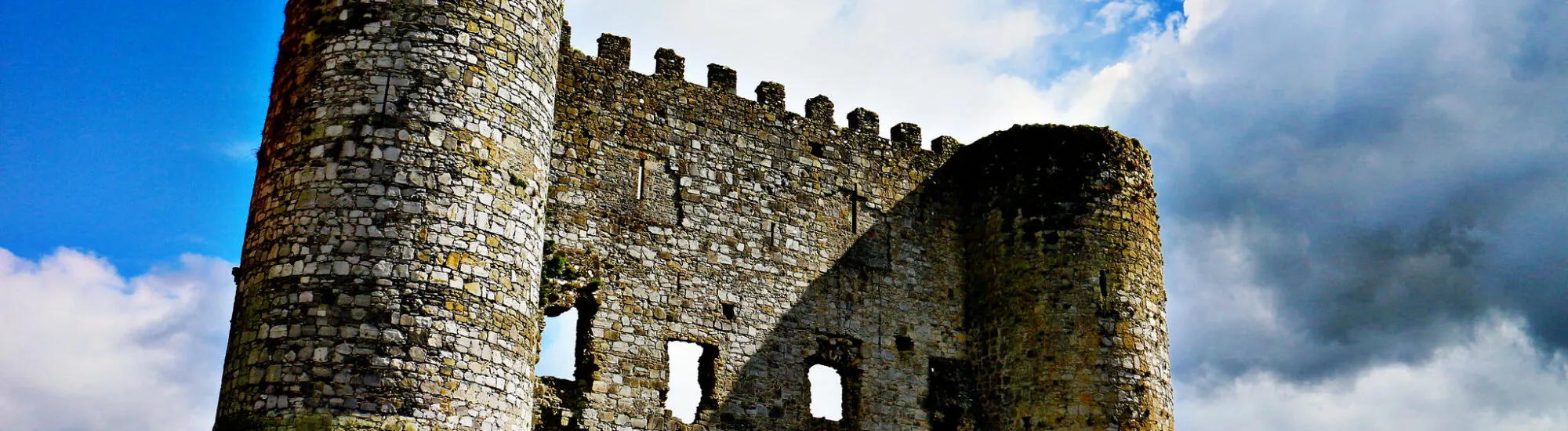 Le Carlow Castle - Feckr - cc