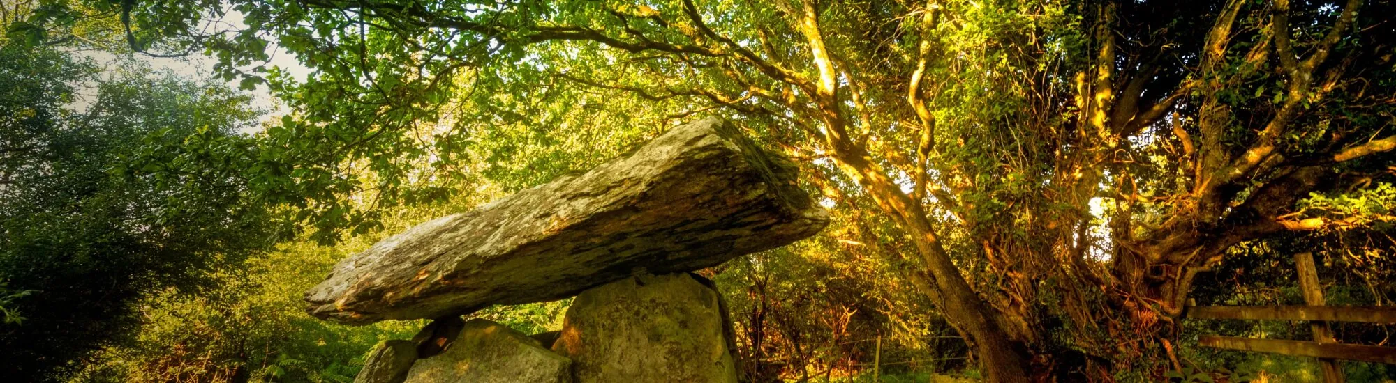 Il Neolitico in Irlanda