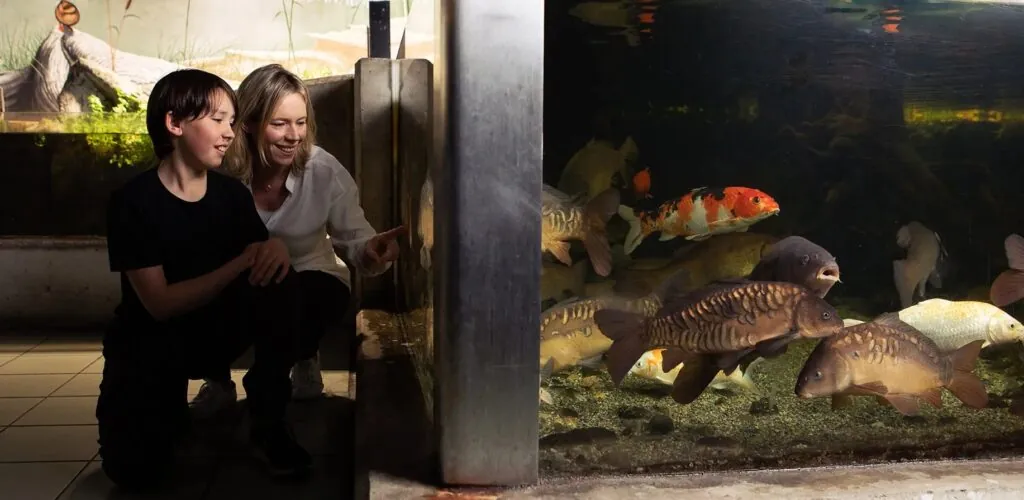 galway atlantaquaria