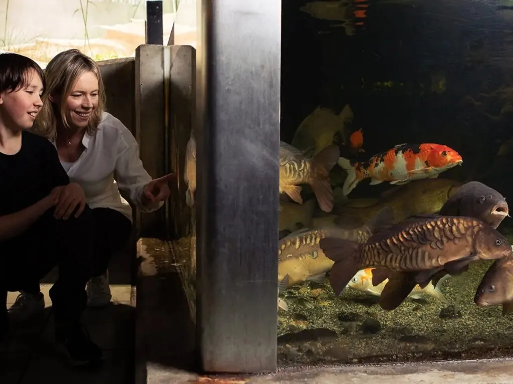 galway atlantaquaria