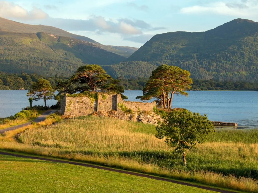 mccarthys castle