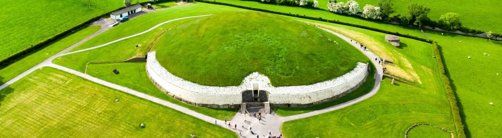 Storia irlandese