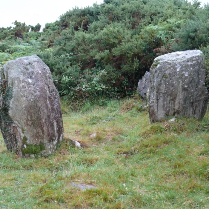 Le Ahakista stone circle - Ann & Peter Macdonald - cc