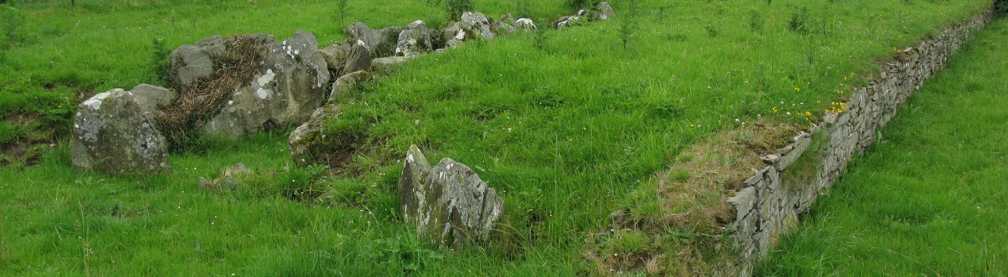 Audleystown Court Cairn