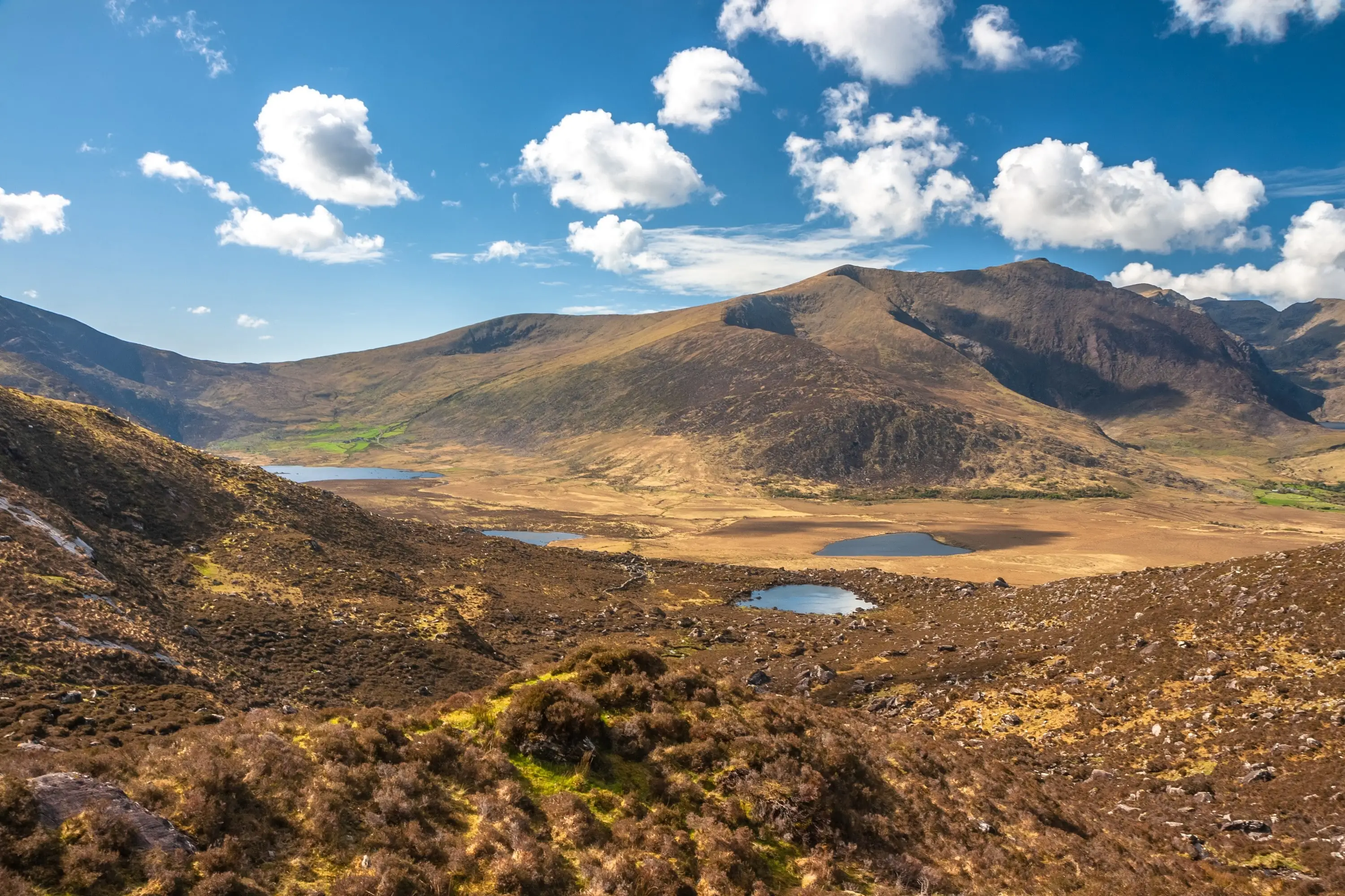 Lingue in Irlanda