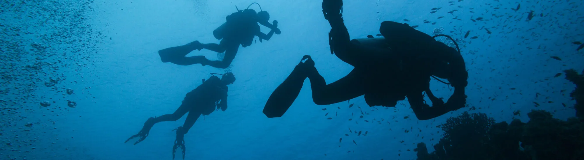 La plongée sous-marine en Irlande