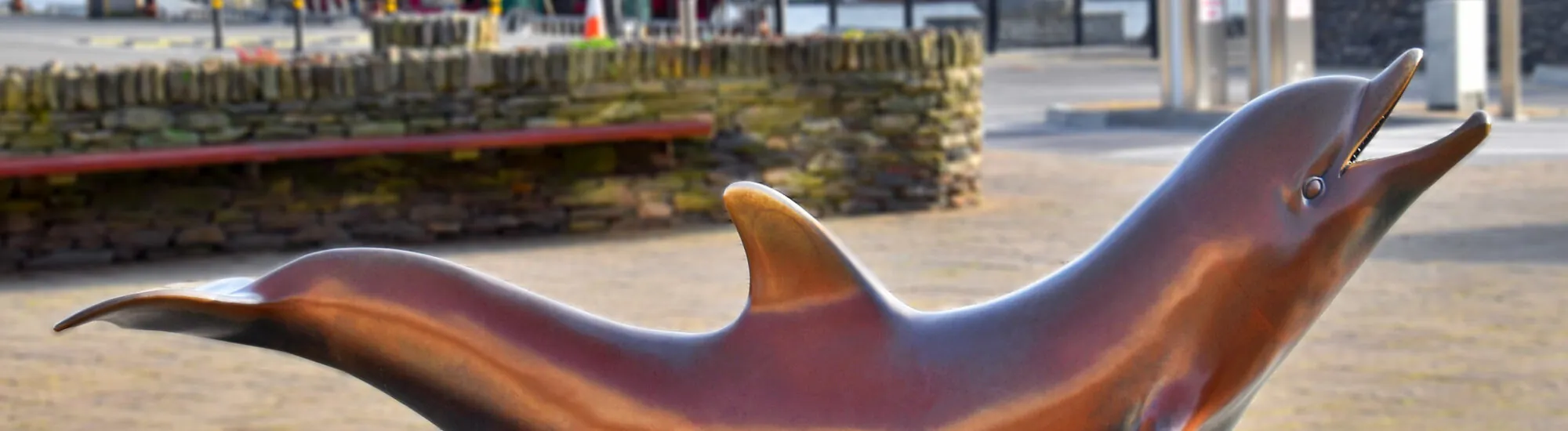 Il Tour dei Delfini di Dingle