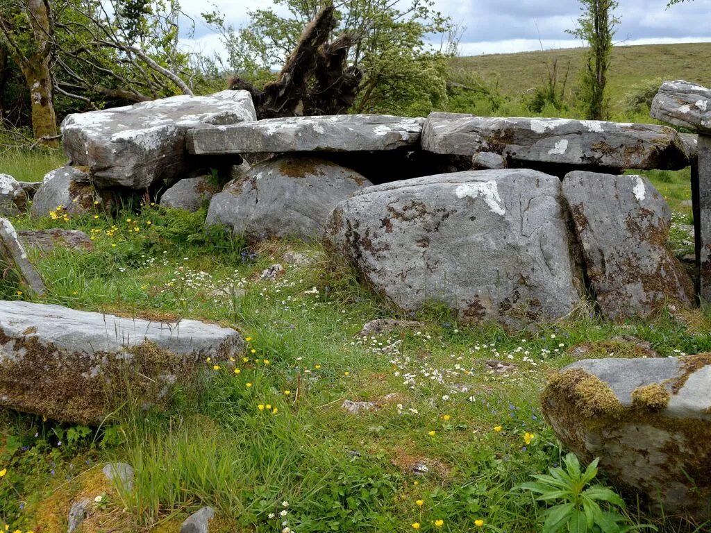 cavan burren park