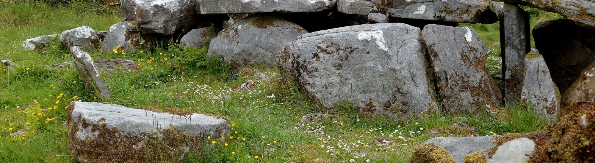 Il Parco Cavan Burren