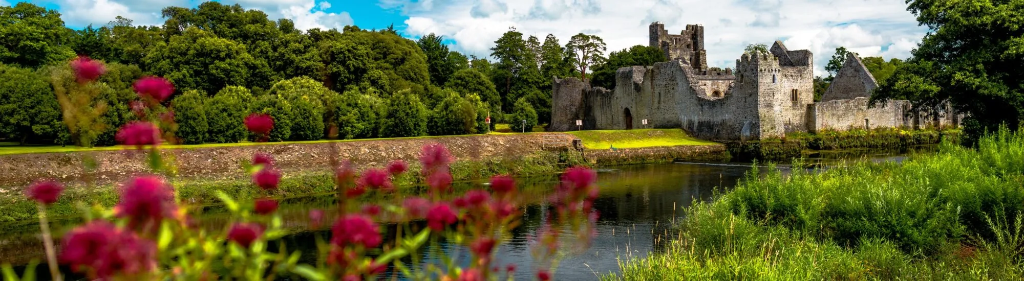 Il Desmond Castle