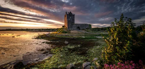 dunguaire castle 4