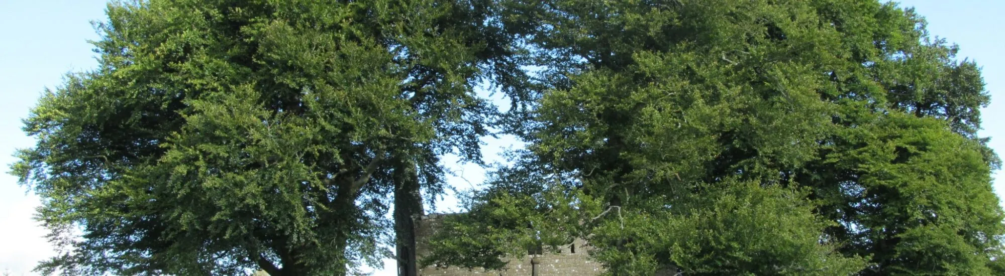 L’Abbazia di Monaincha