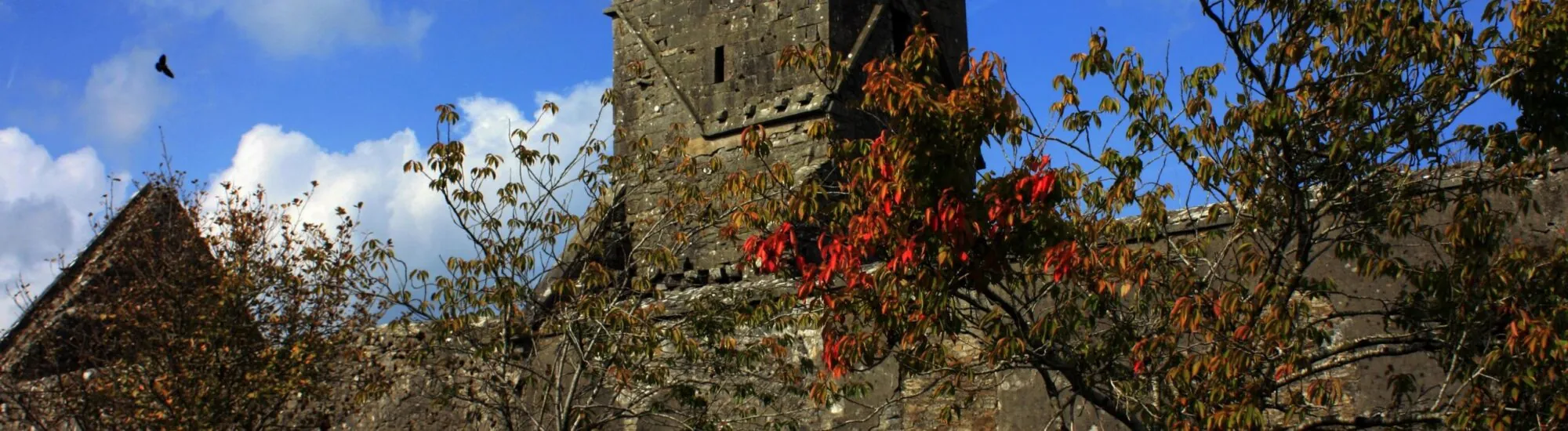 L’Abbazia di Dunmore