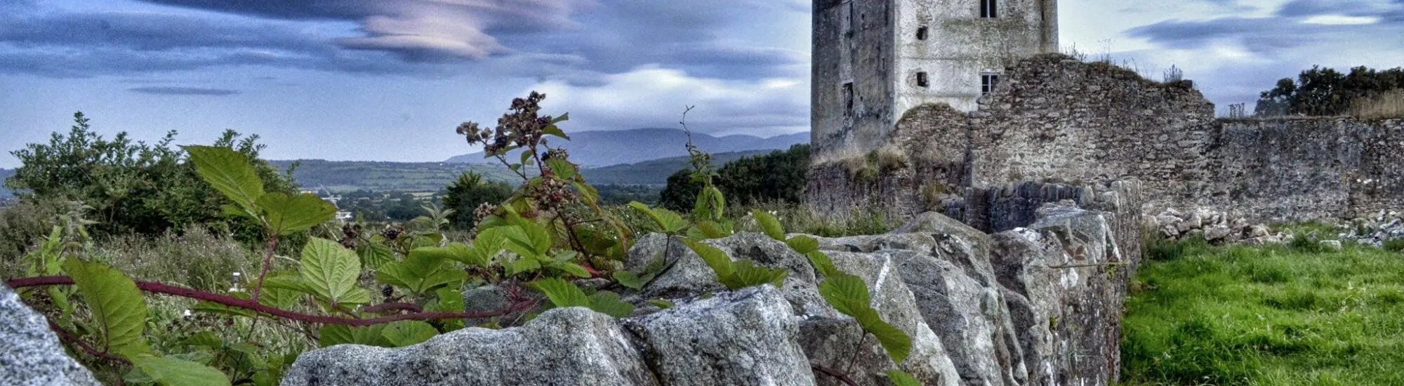 Il Kilcash Castle