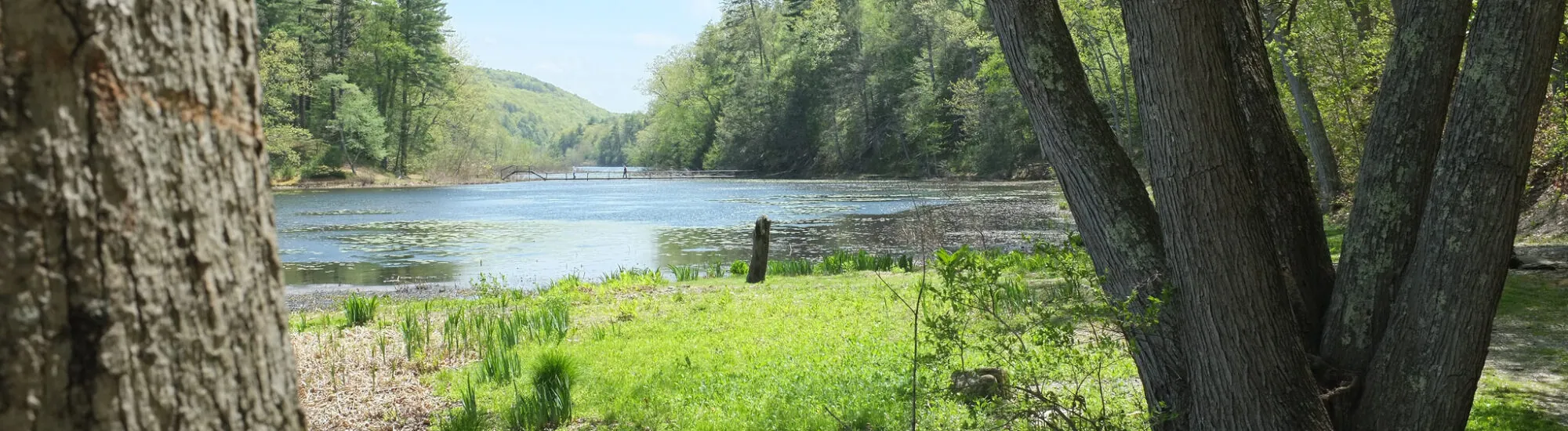 Innisfree