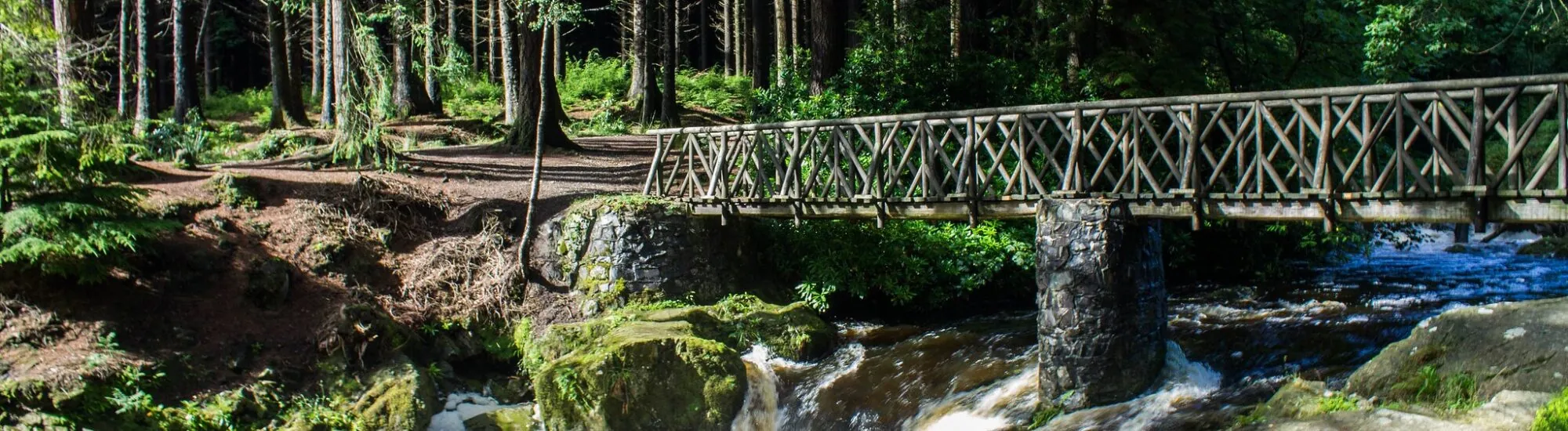 Il Parco Forestale di Tollymore