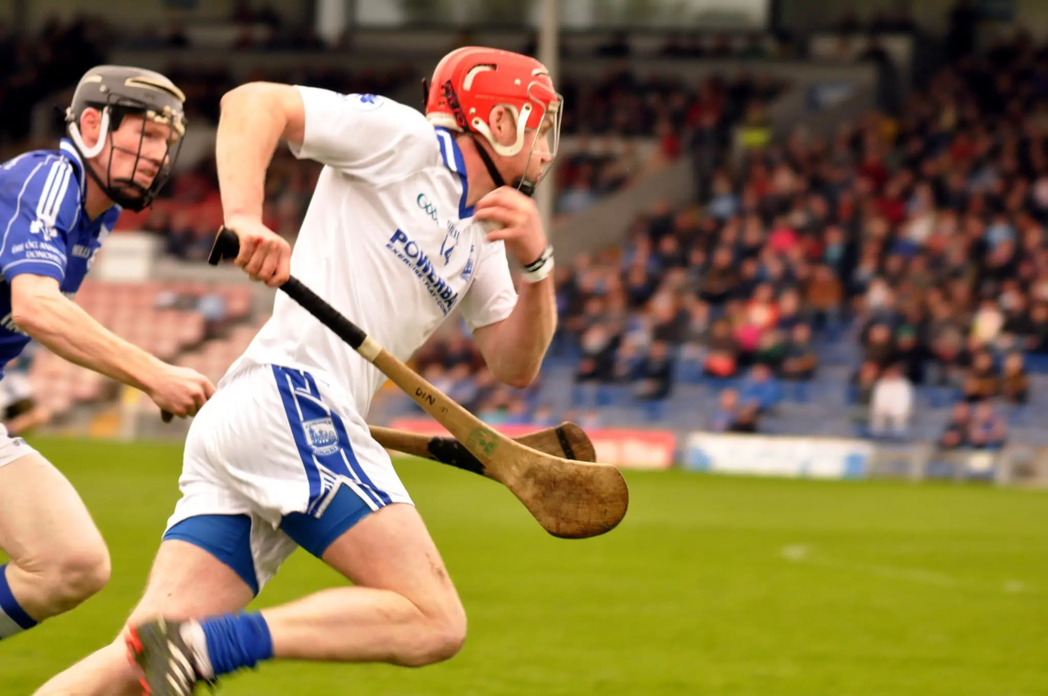 Sport irlandesi