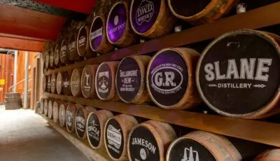 Facciata dell’Irish Whiskey Museum a Dublino