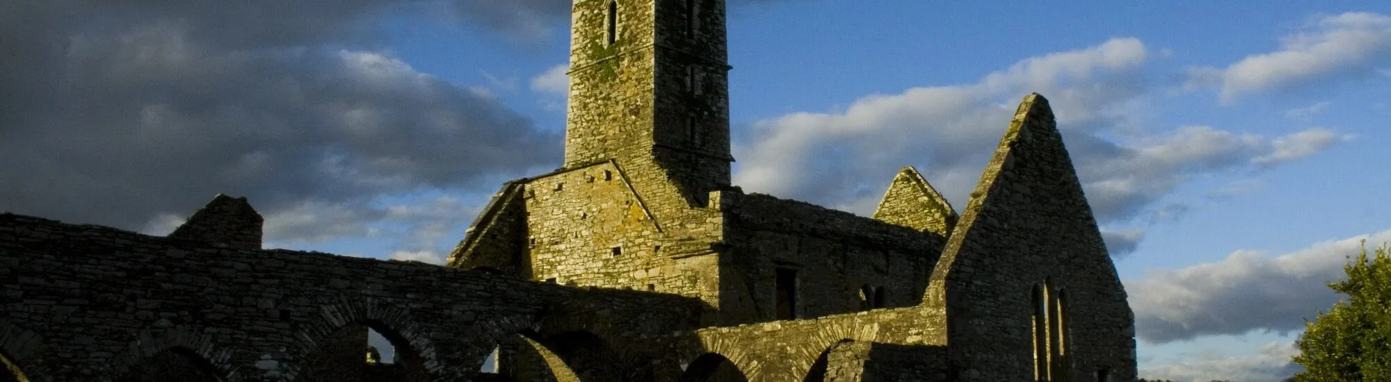 L’Abbazia di Timoleague