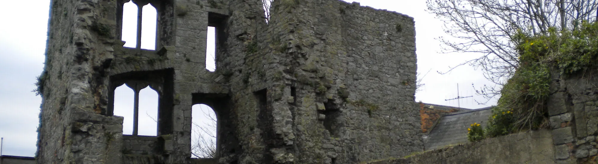 Il Fanning’s Castle